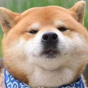 Meet your Posher, Clare